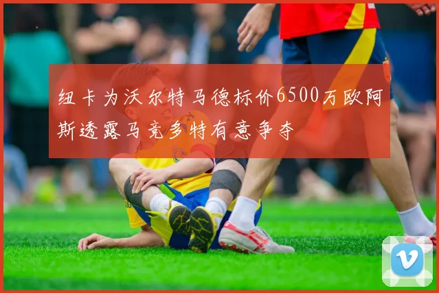 纽卡为沃尔特马德标价6500万欧阿斯透露马竞多特有意争夺
